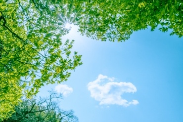 ISO14001／環境への取り組み